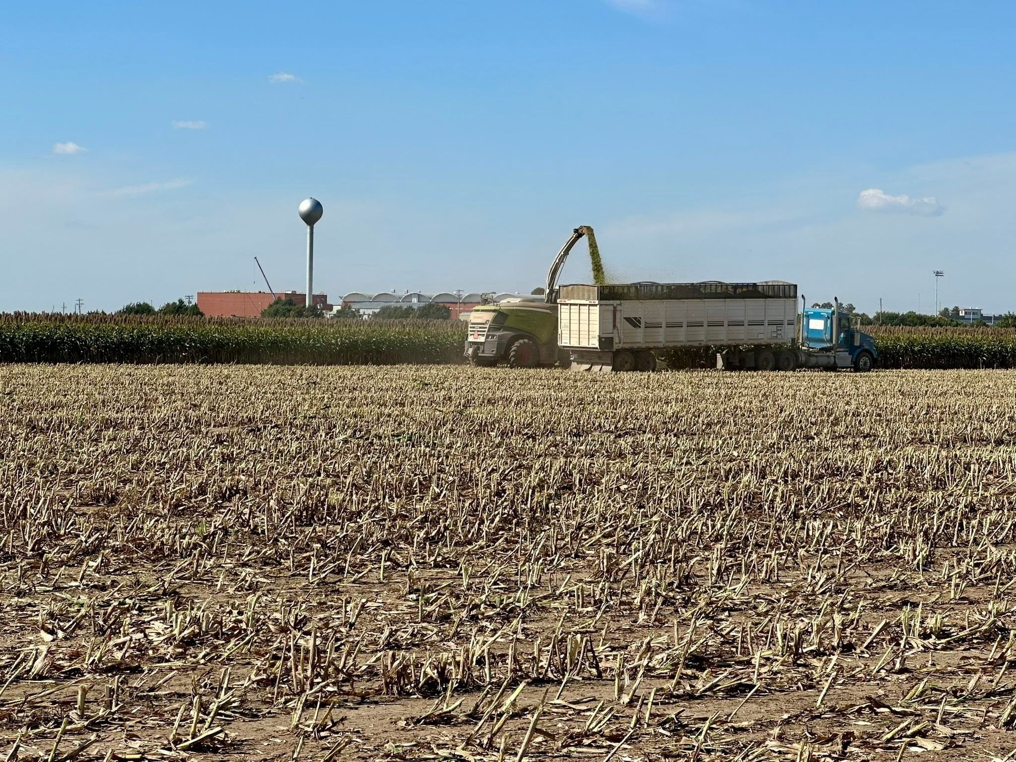 Farm trucks and harvesting equipment in the corn field